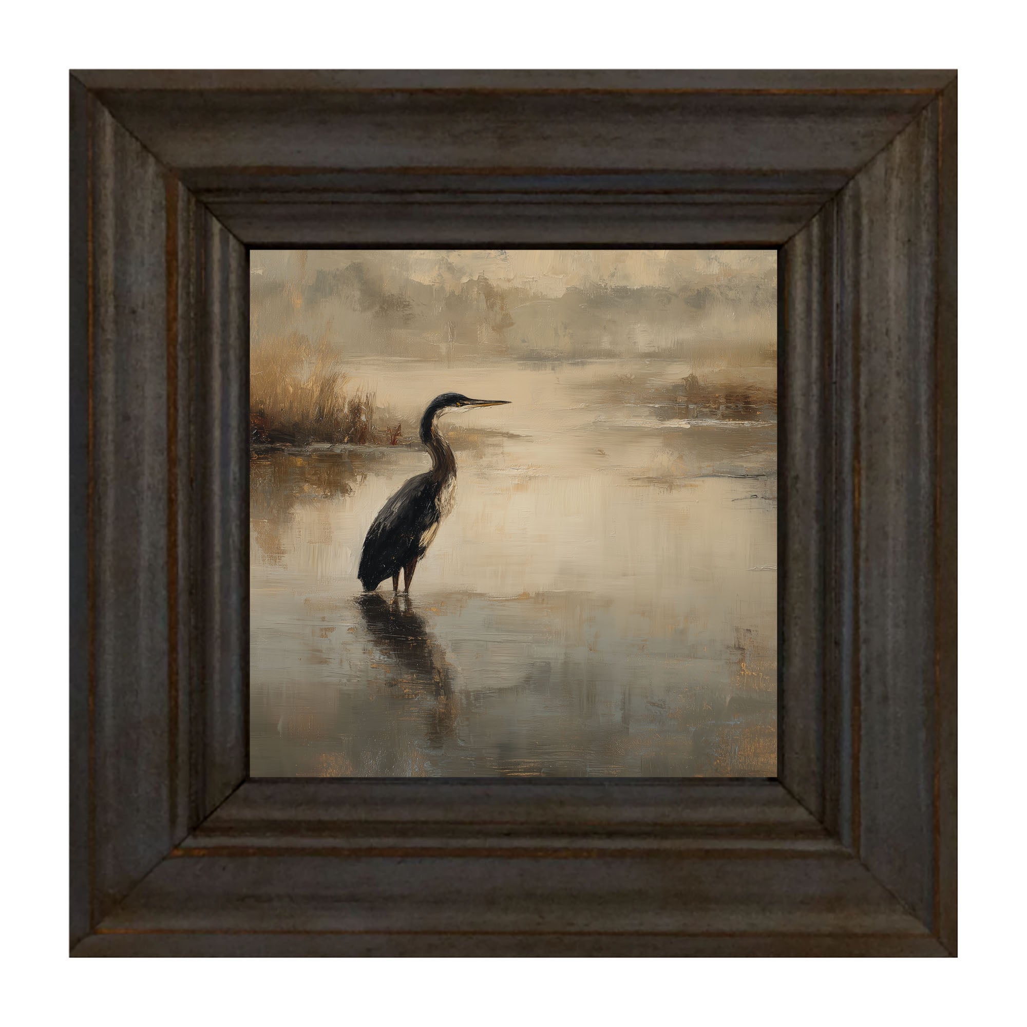 Pelican in the Water