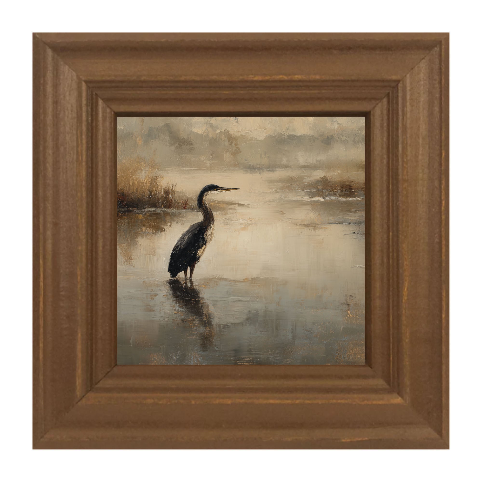 Pelican in the Water