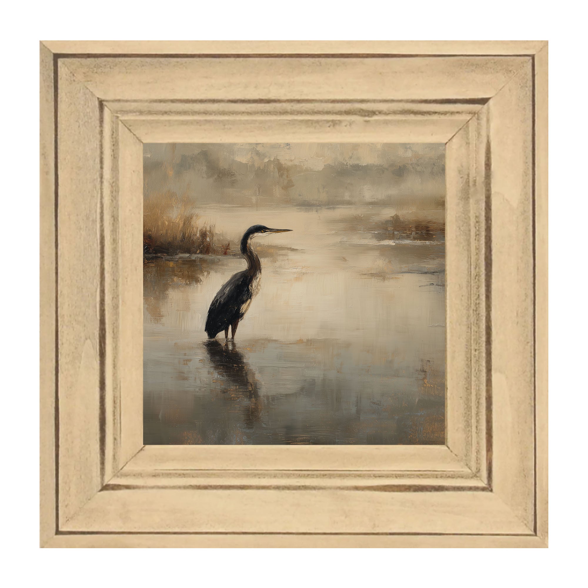 Pelican in the Water
