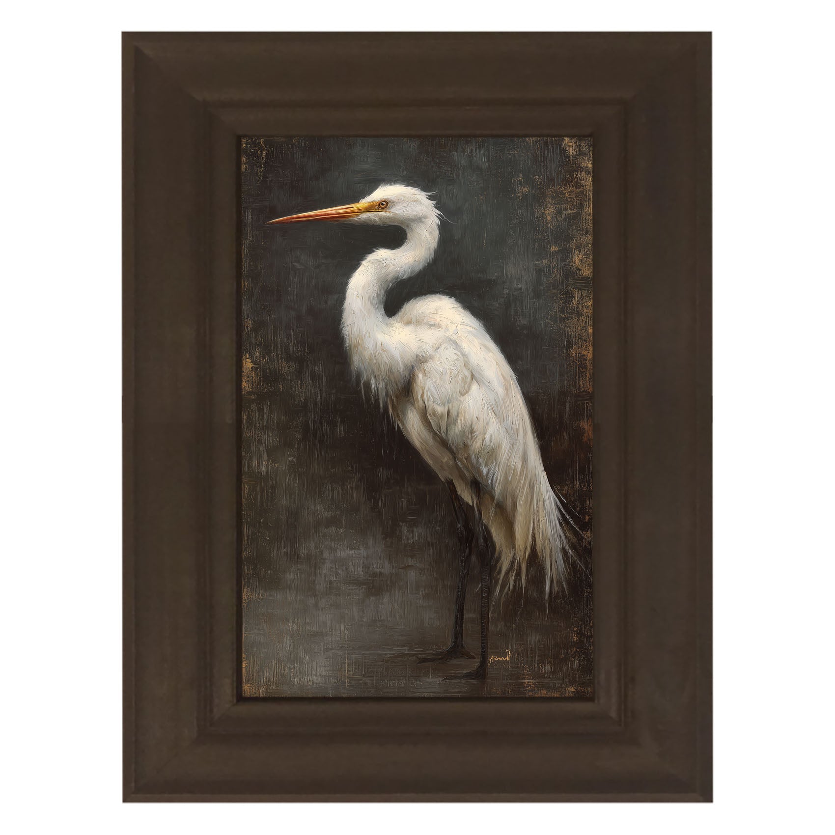 Beach Bird - White Pelican