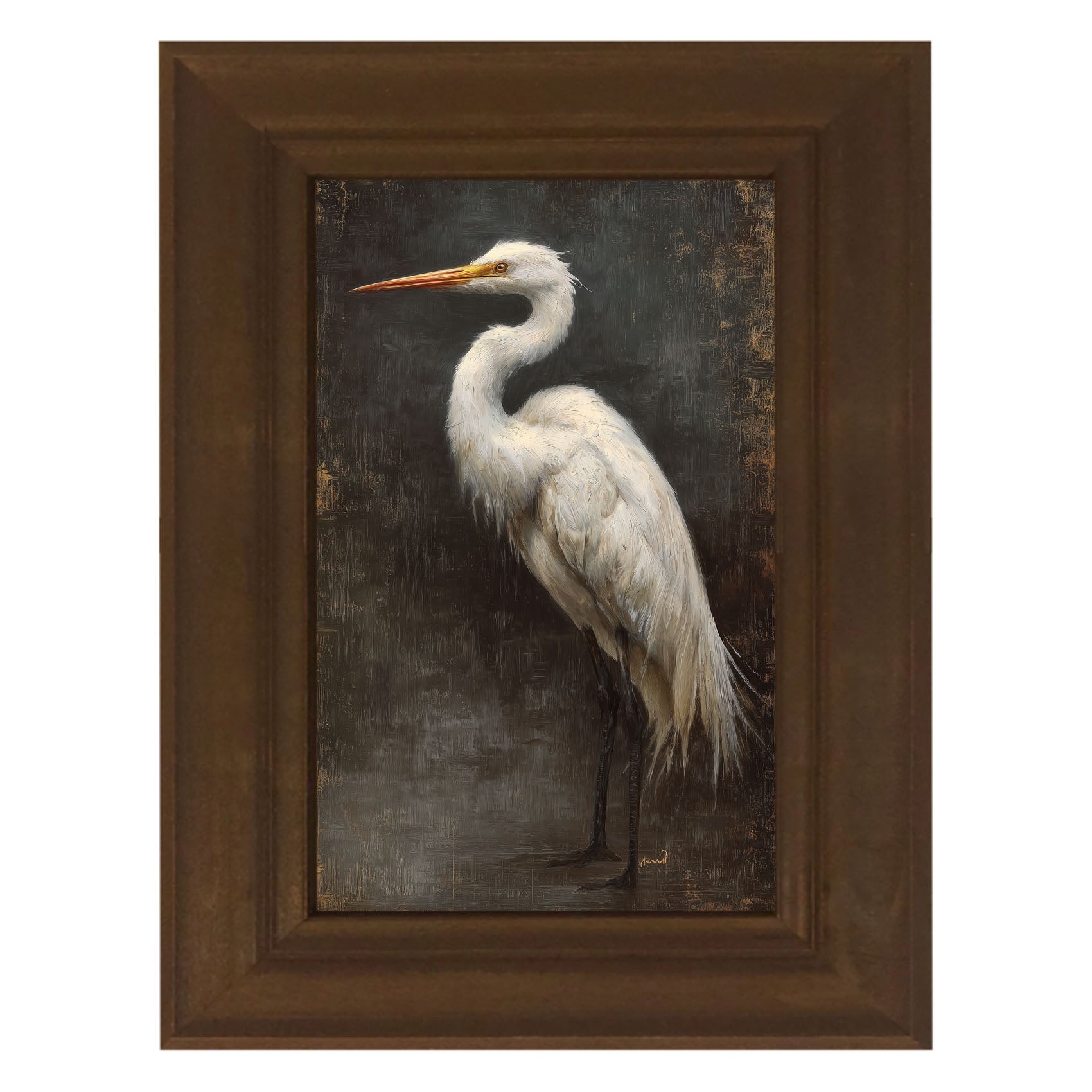 Beach Bird - White Pelican
