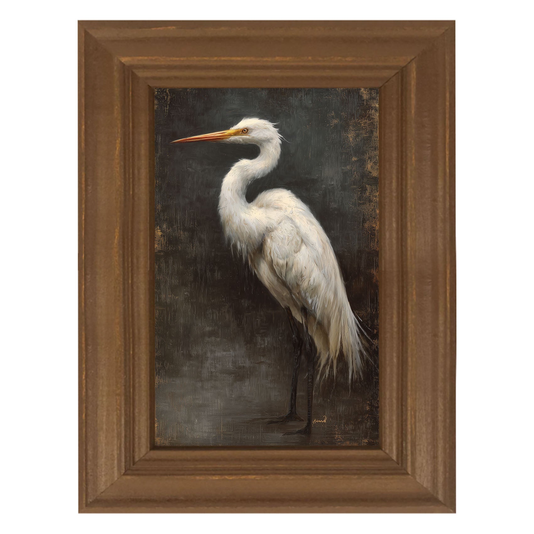 Beach Bird - White Pelican