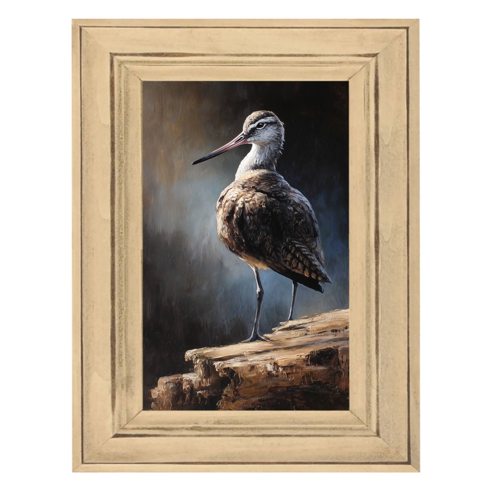Beach Bird - Sandpiper