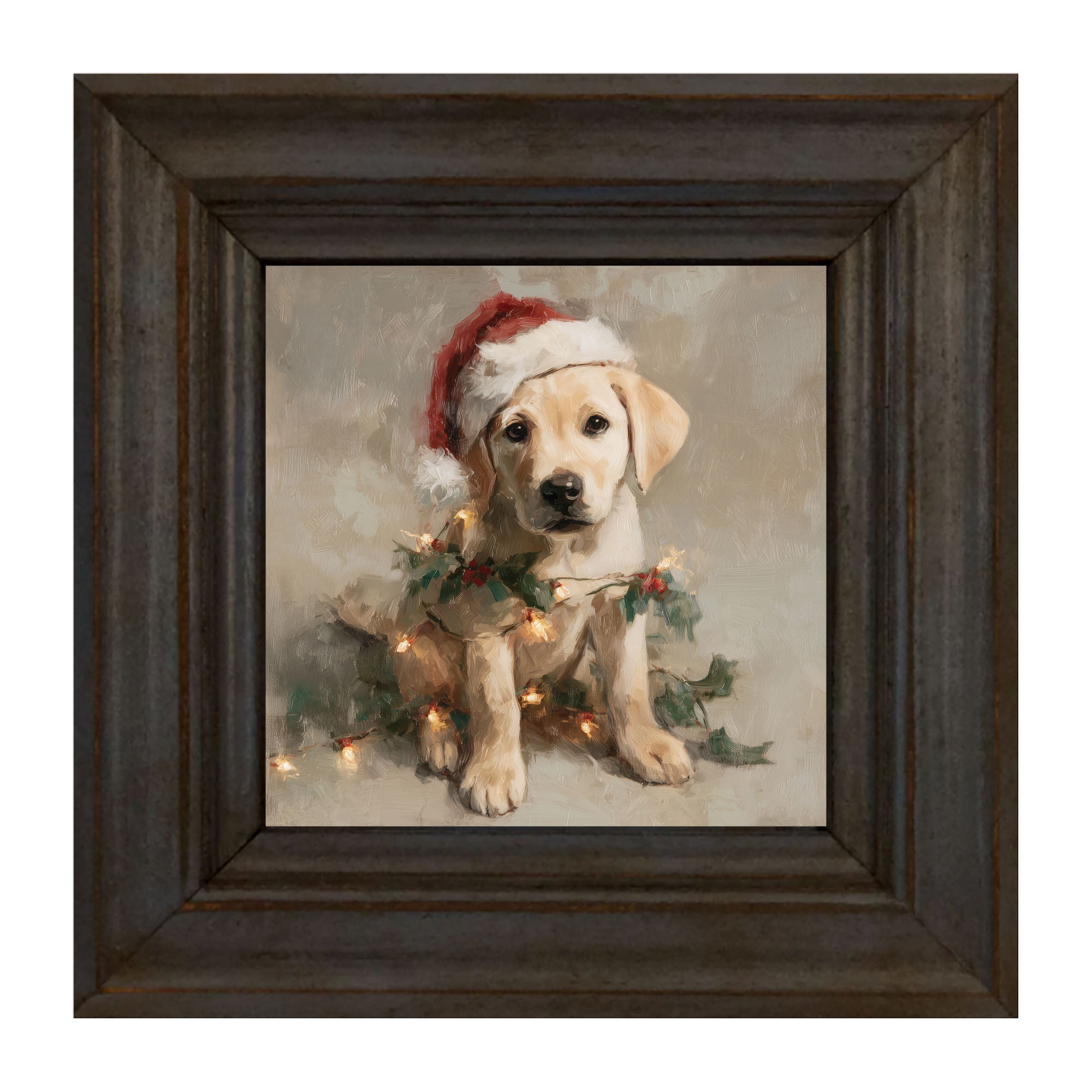 Christmas Lights with Labrador