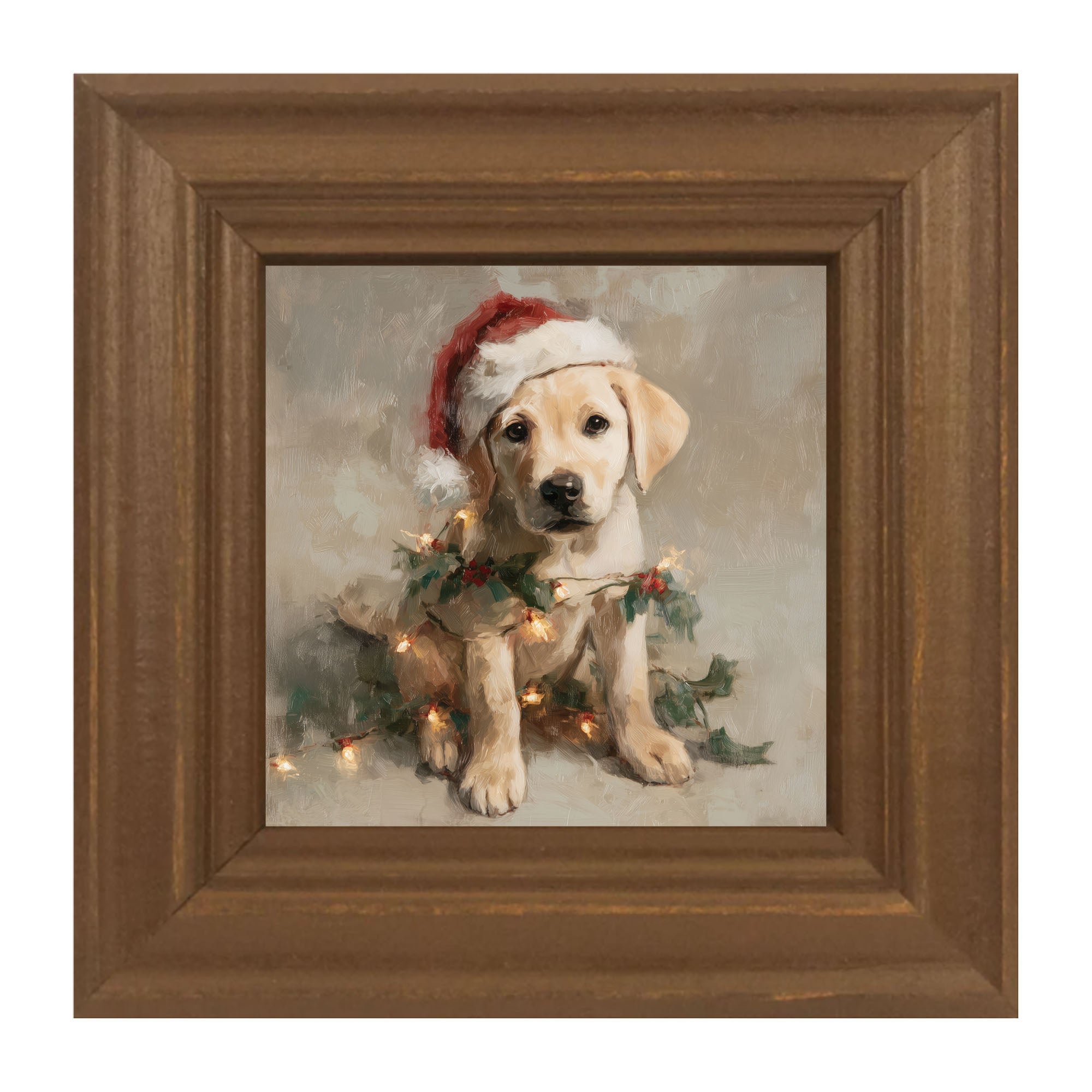 Christmas Lights with Labrador