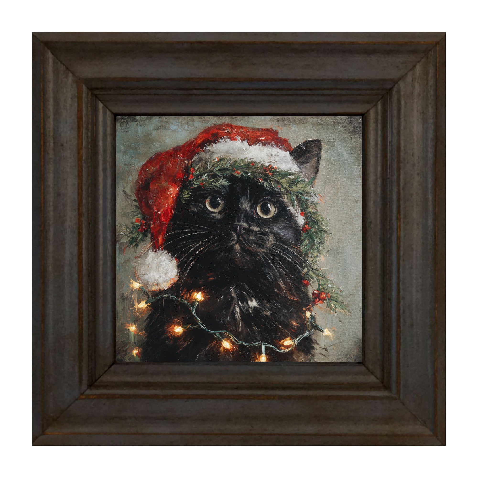 Christmas Lights with Black Cat