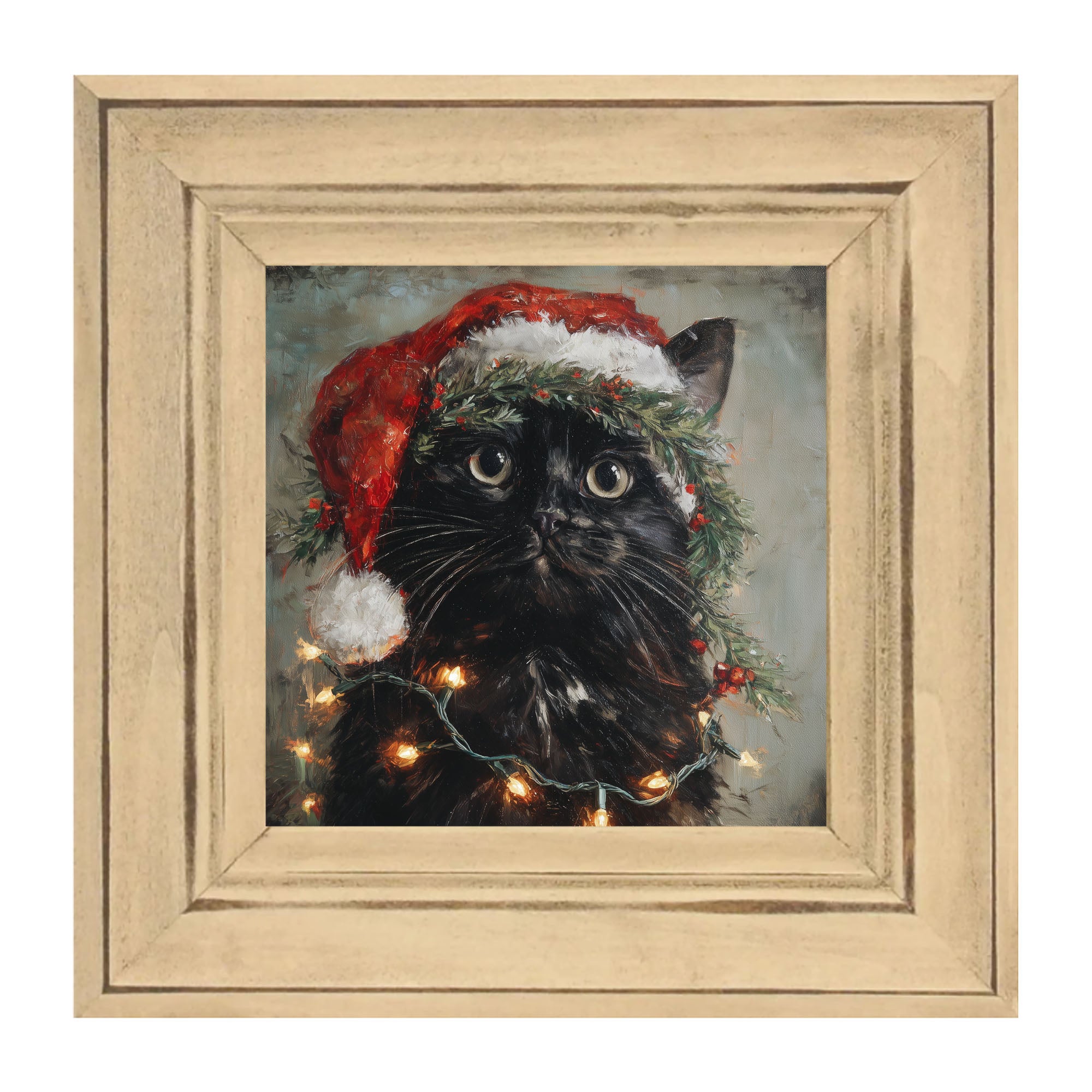 Christmas Lights with Black Cat