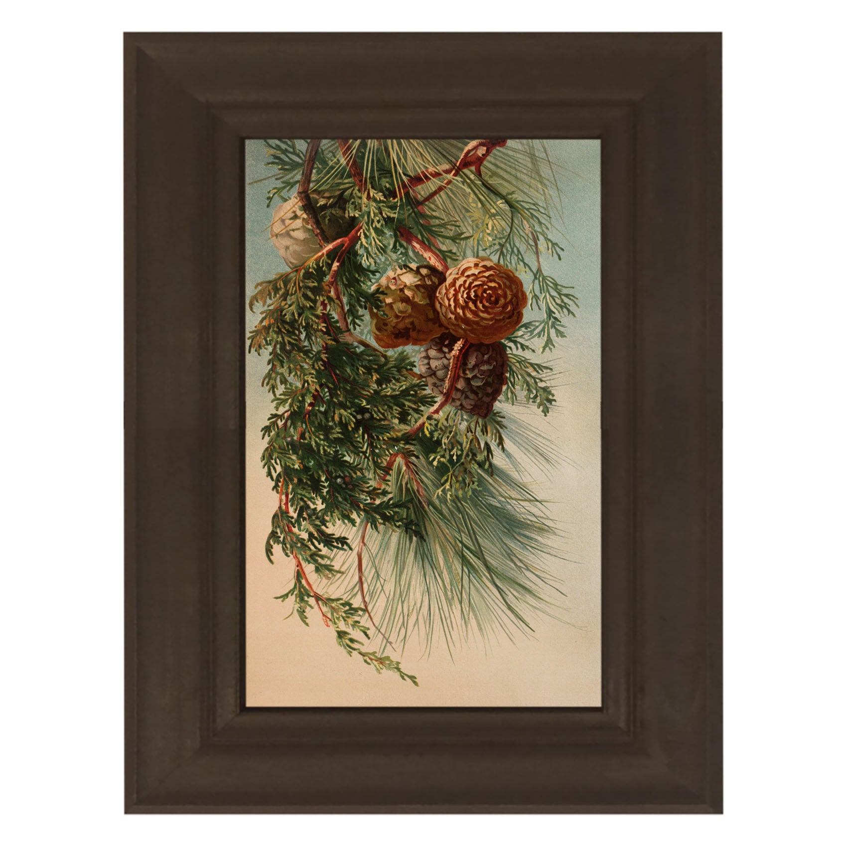 Vintage small pine cones