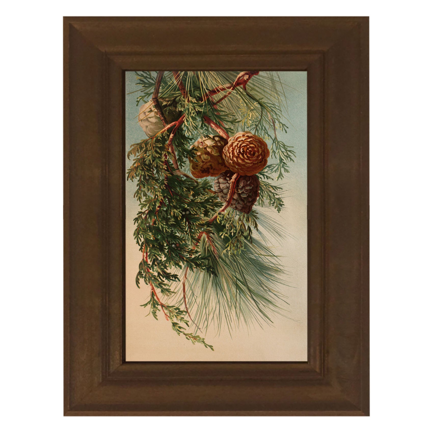 Vintage small pine cones