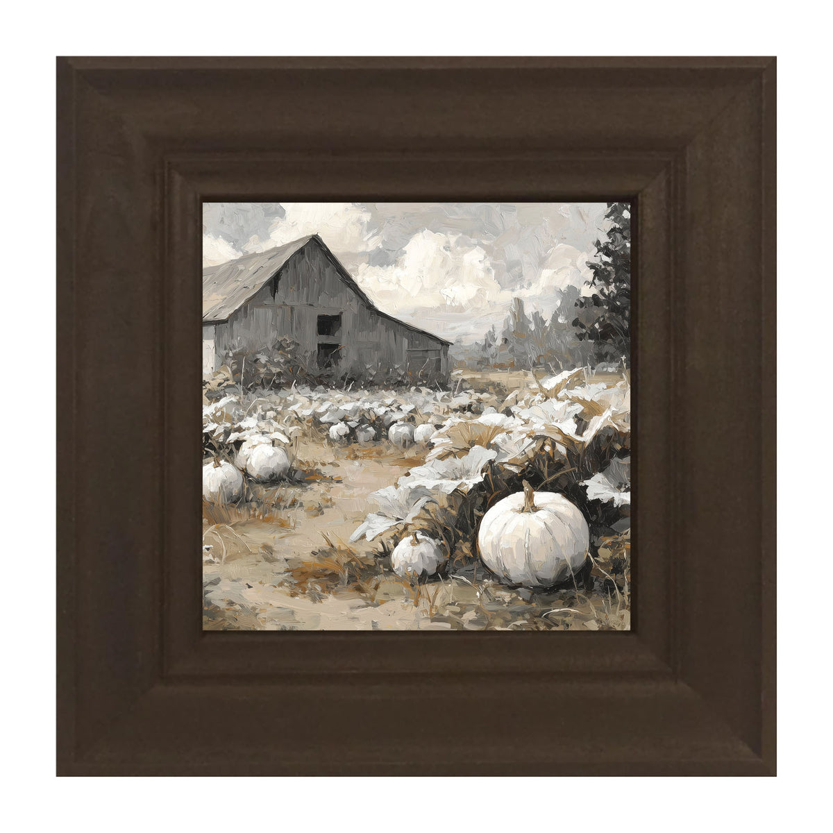 White Pumpkins in Field