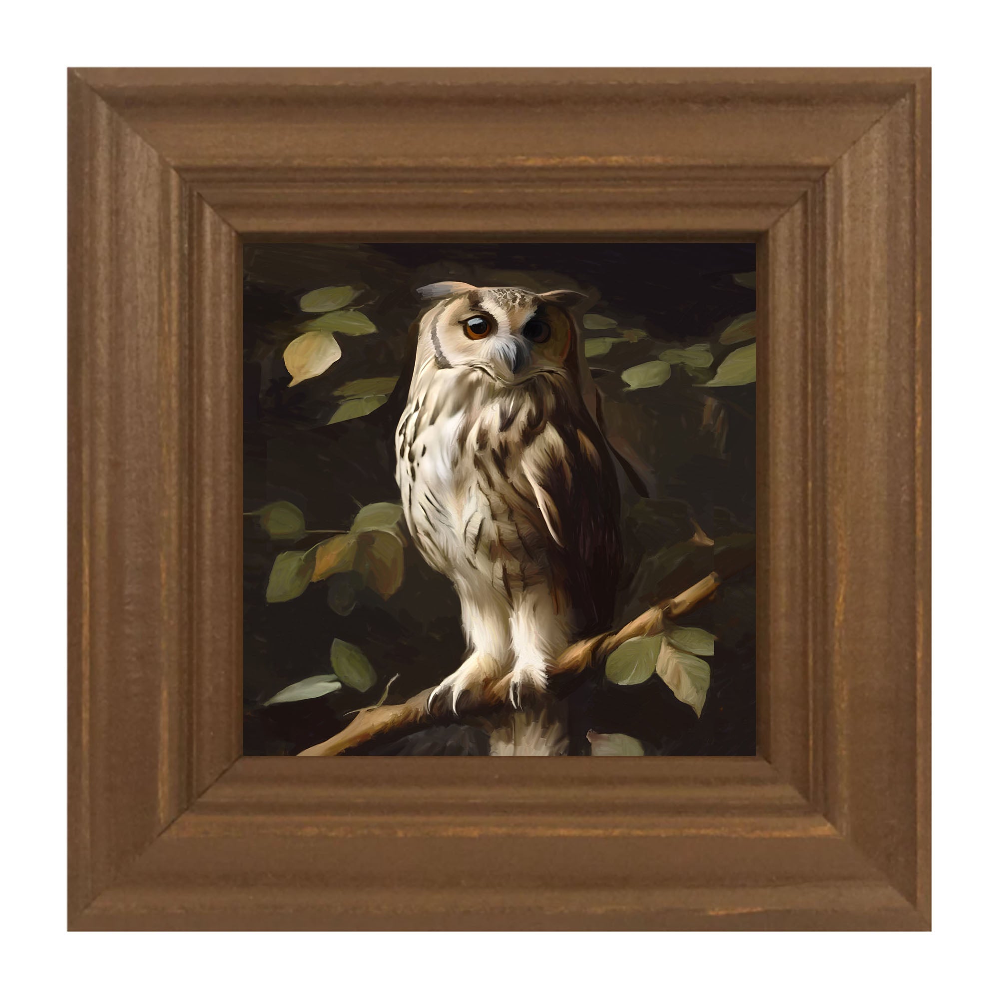 Gray and White Owl