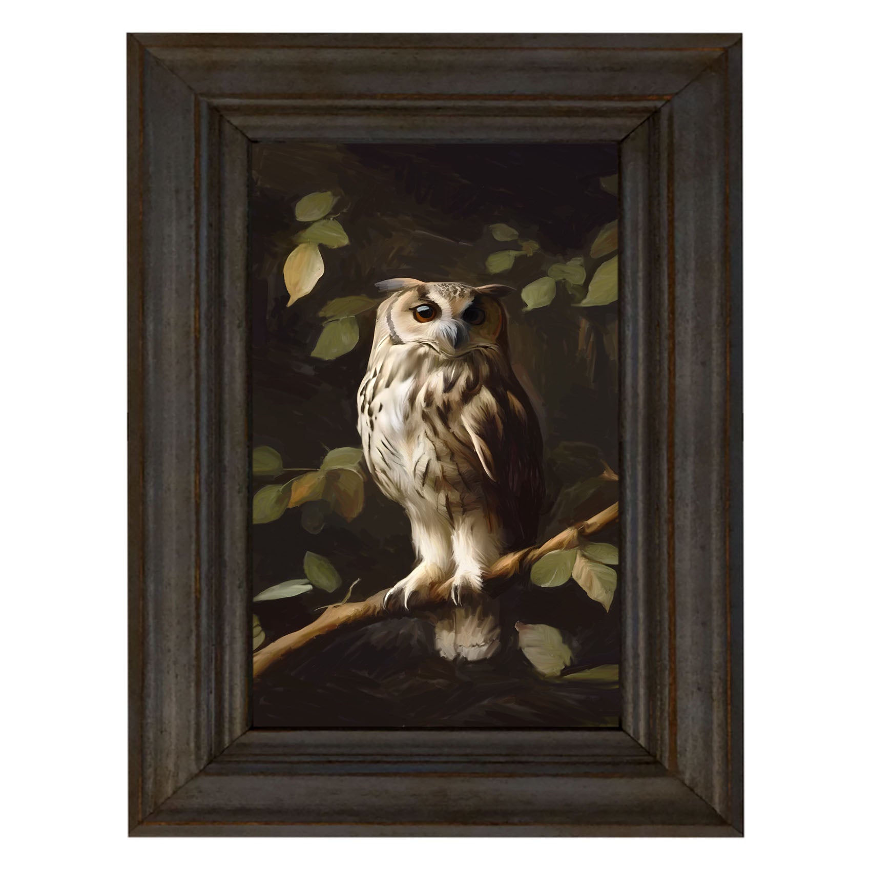 Gray and White Owl