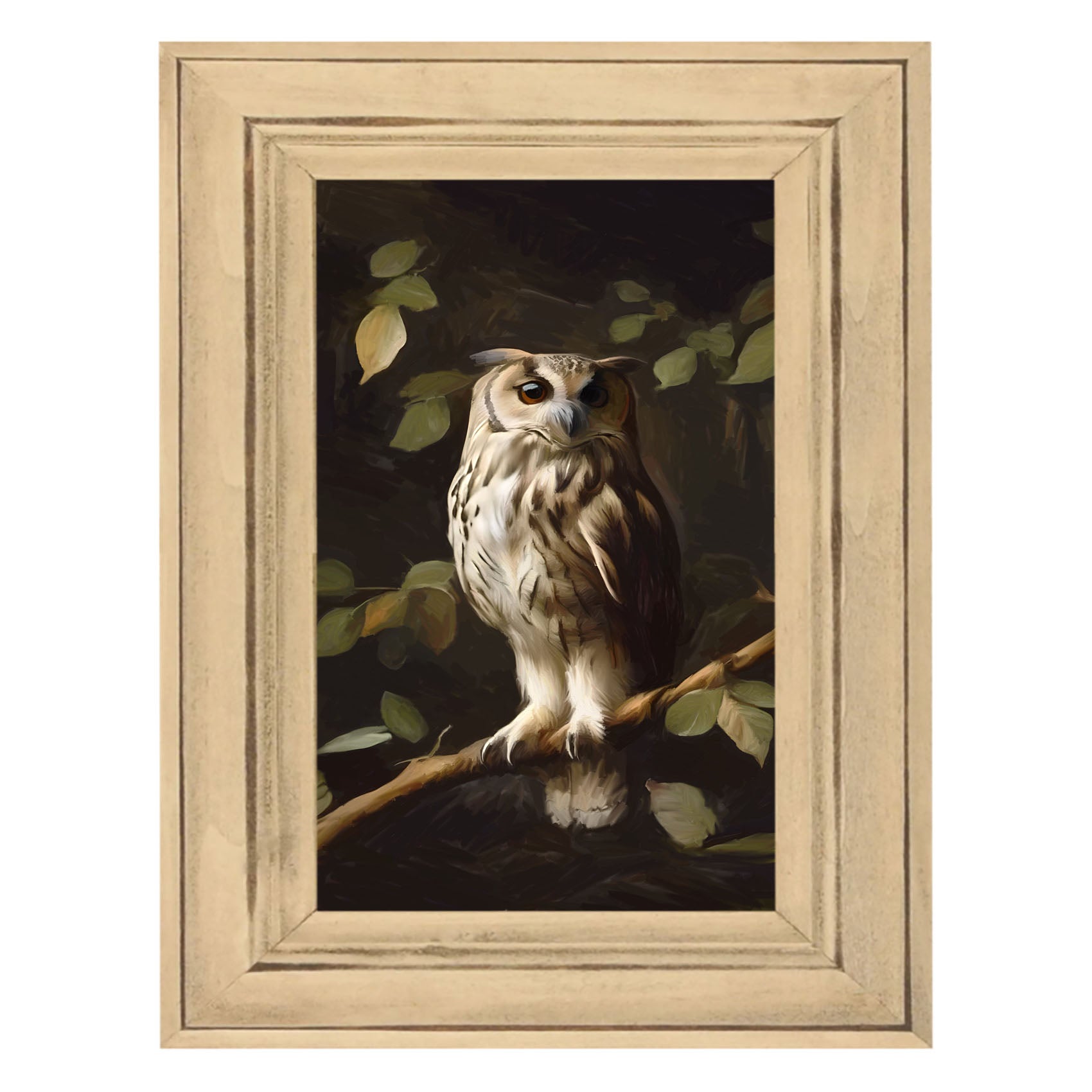 Gray and White Owl
