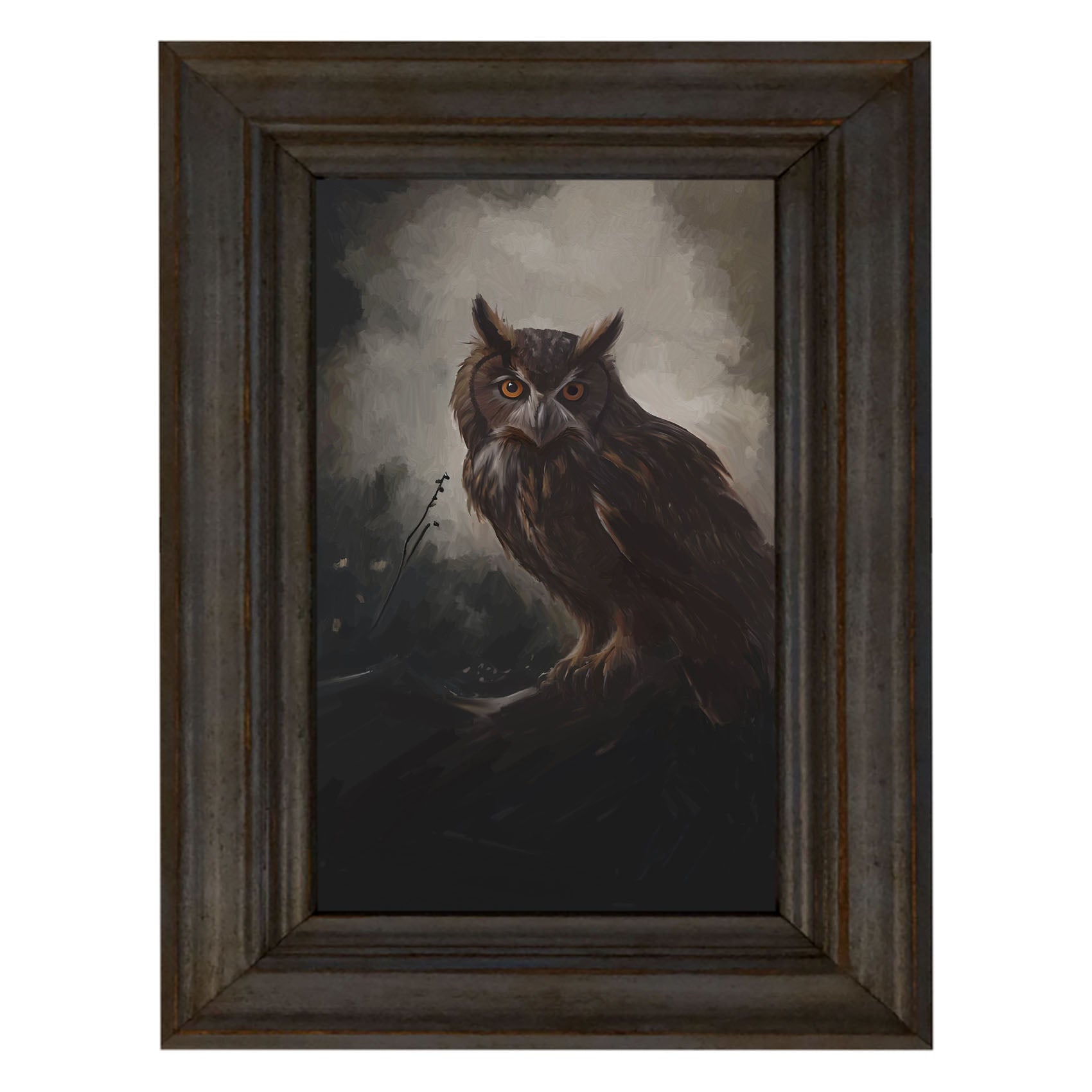 Night Owl