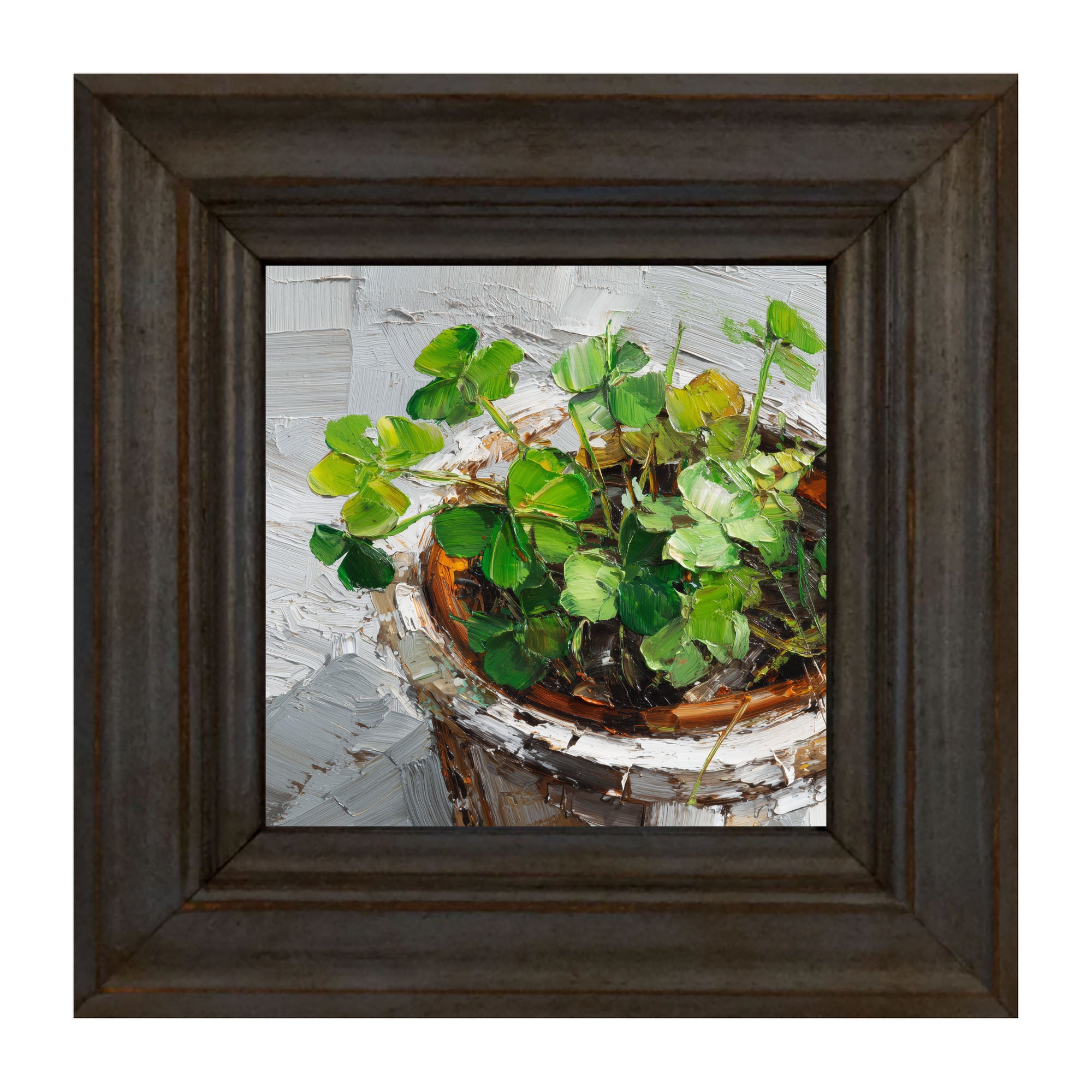 St. Patrick's - Potted Clovers