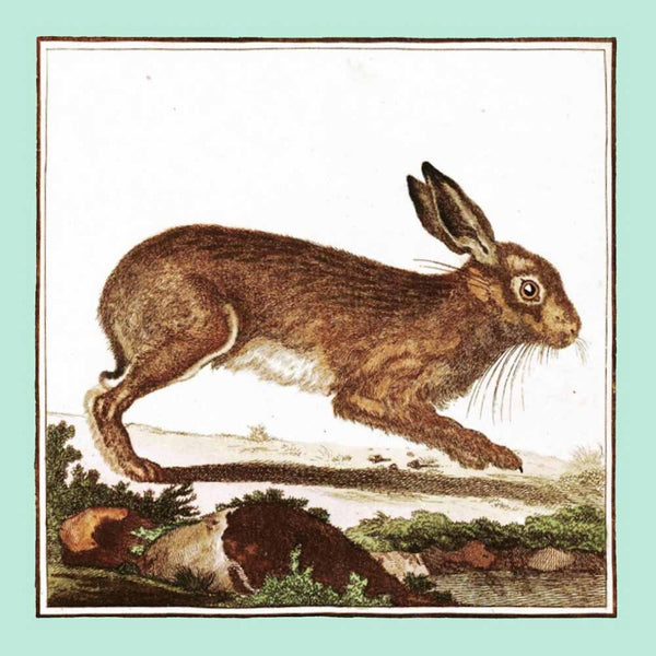 Vintage Brown Bunny