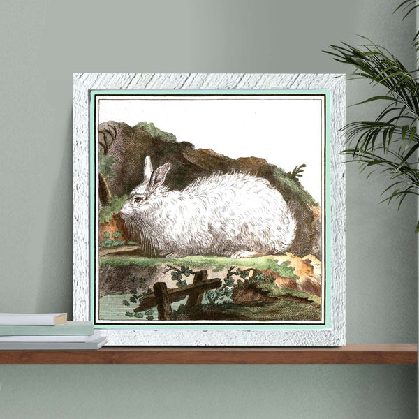 Vintage White Bunny