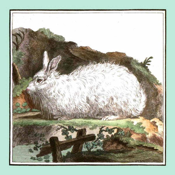 Vintage White Bunny