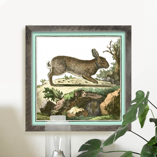 Vintage Running Bunny