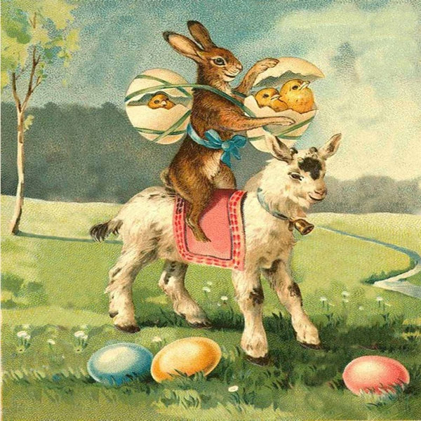Bunny on a Lamb
