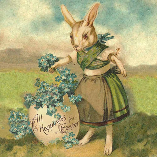 Bunny with Clovers