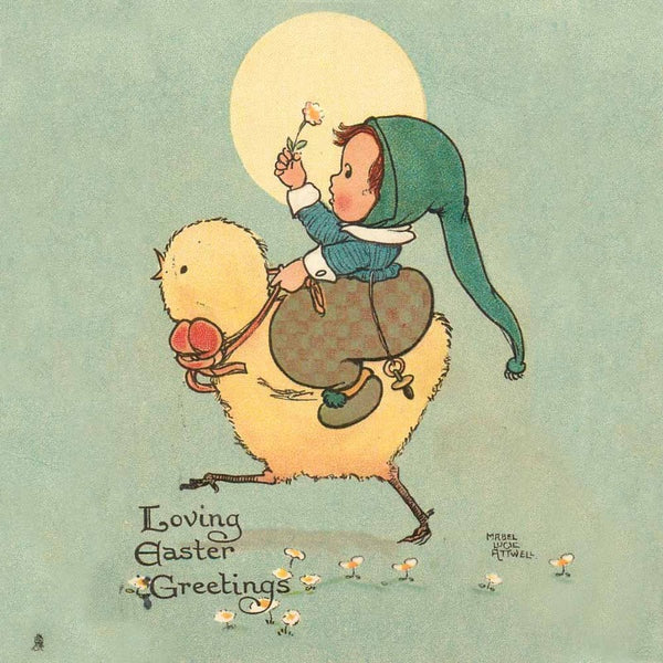 Chick Transport