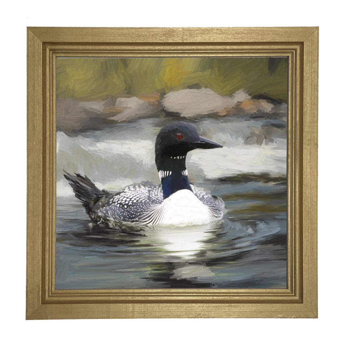 Loon in the Water - Framed art