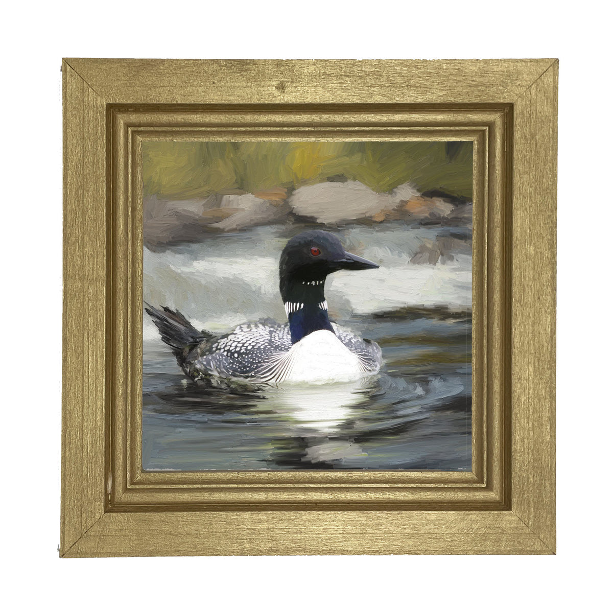 Loon in the Water - Framed art