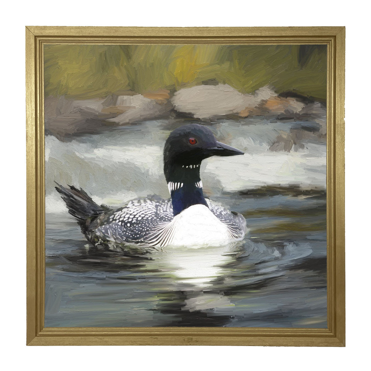 Loon in the Water - Framed art