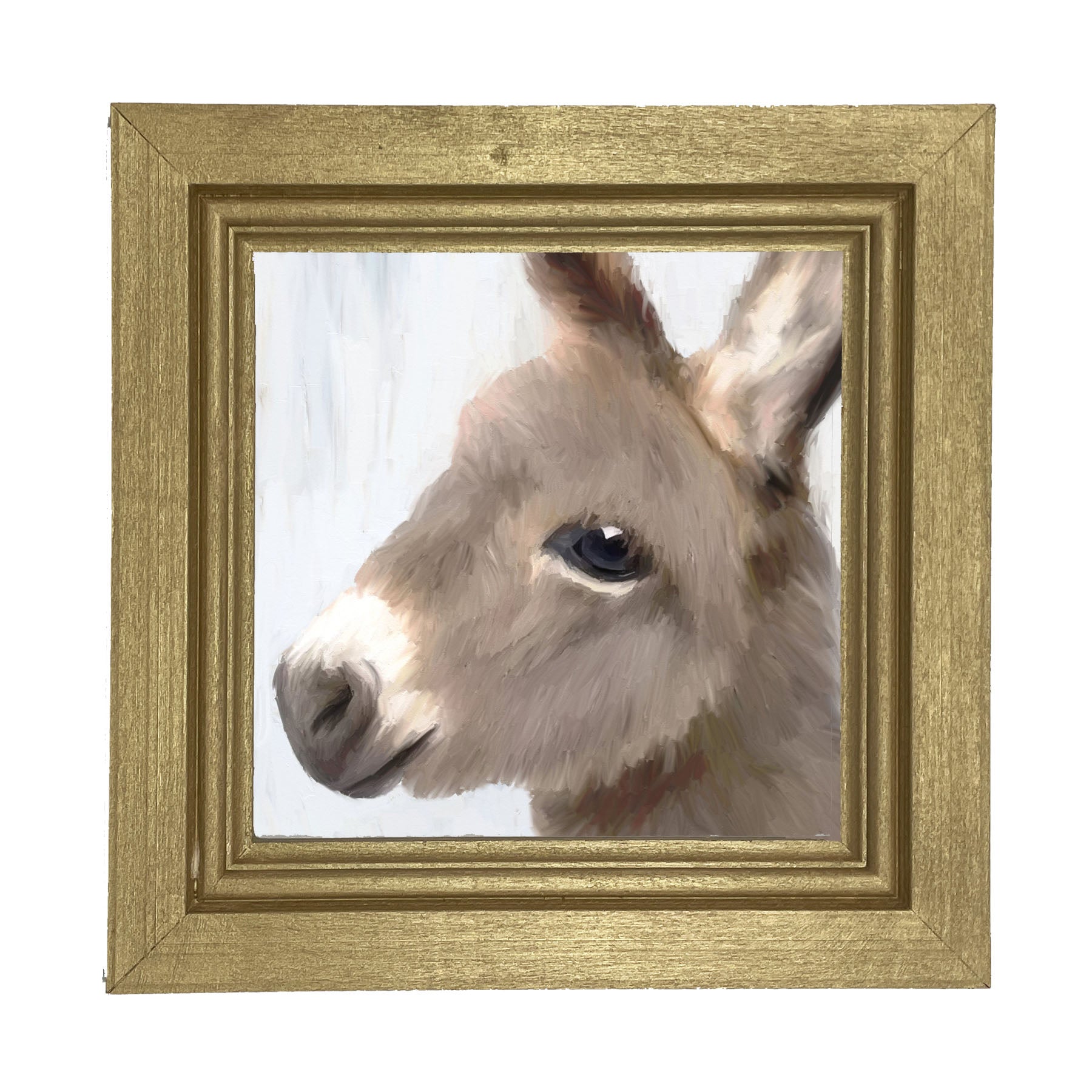 Baby Donkey - Framed art