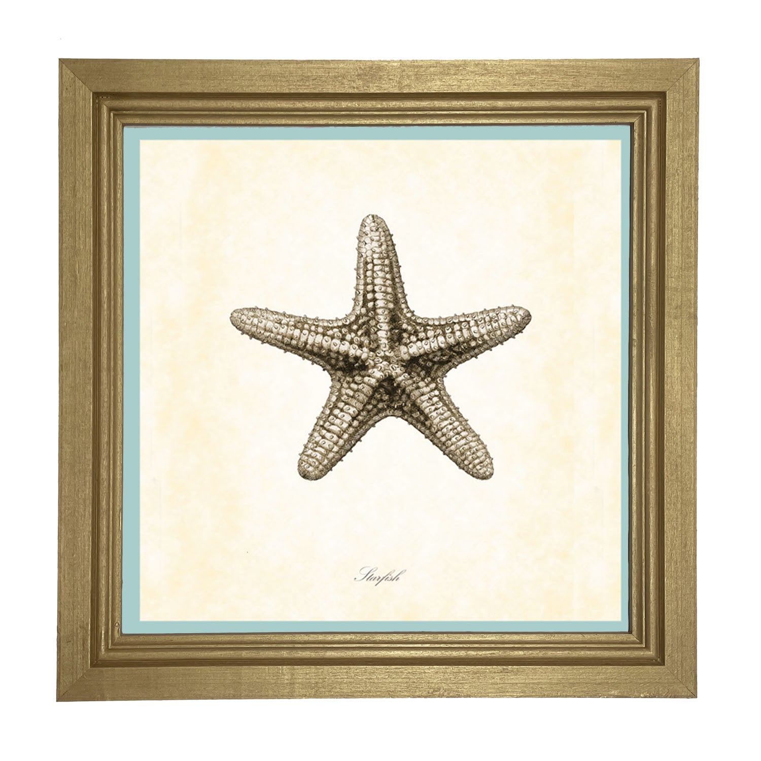 Gray Starfish - Framed art