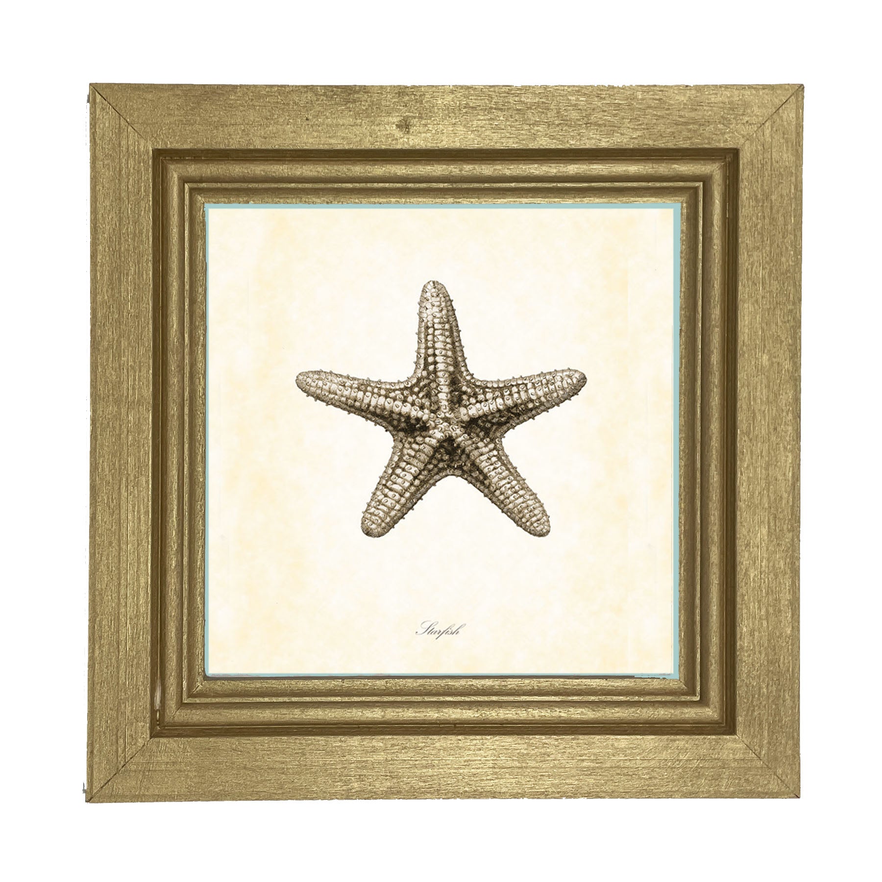 Gray Starfish - Framed art