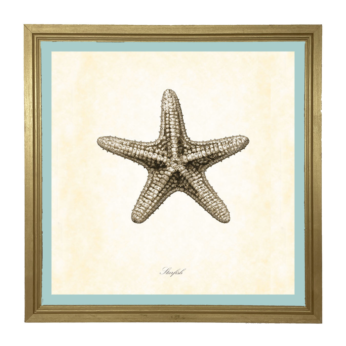 Gray Starfish - Framed art