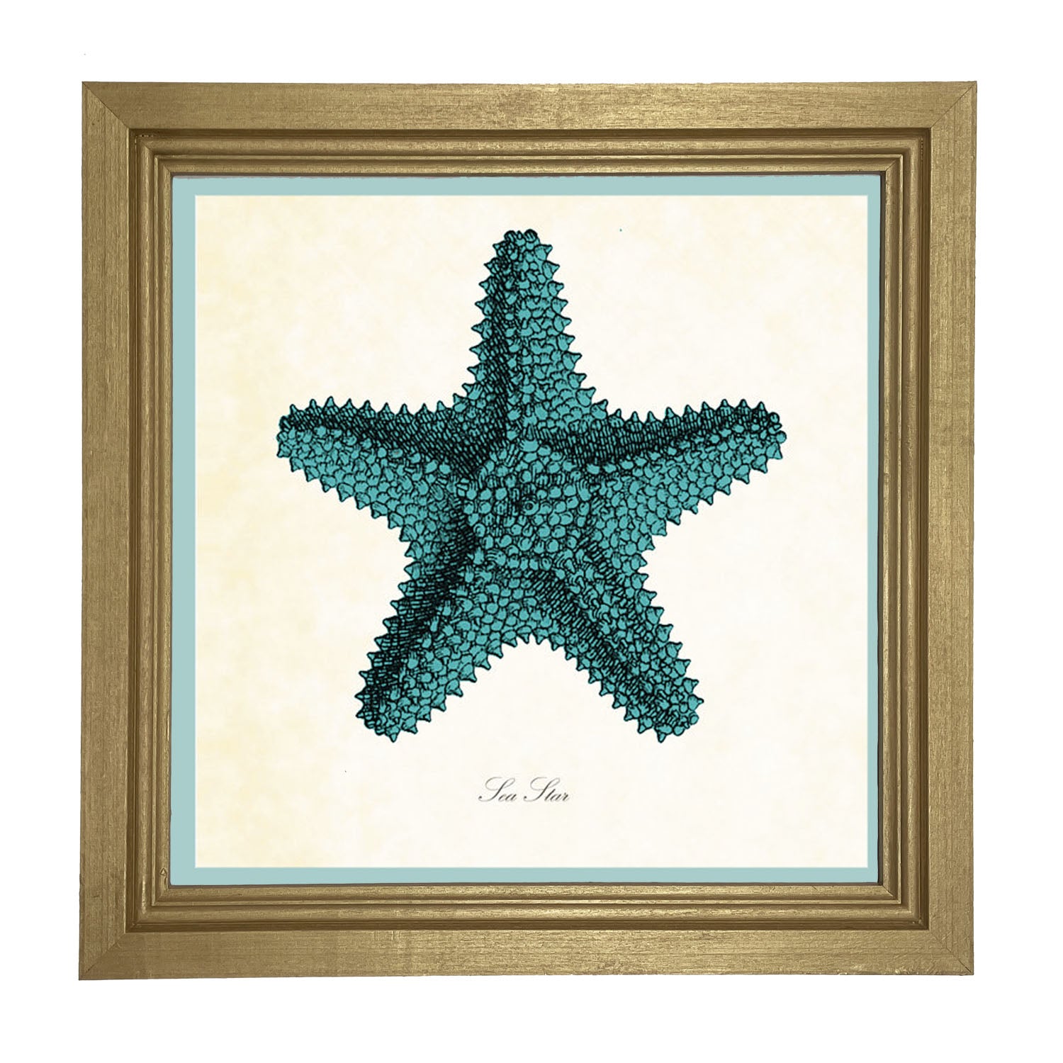Blue Starfish - Framed art