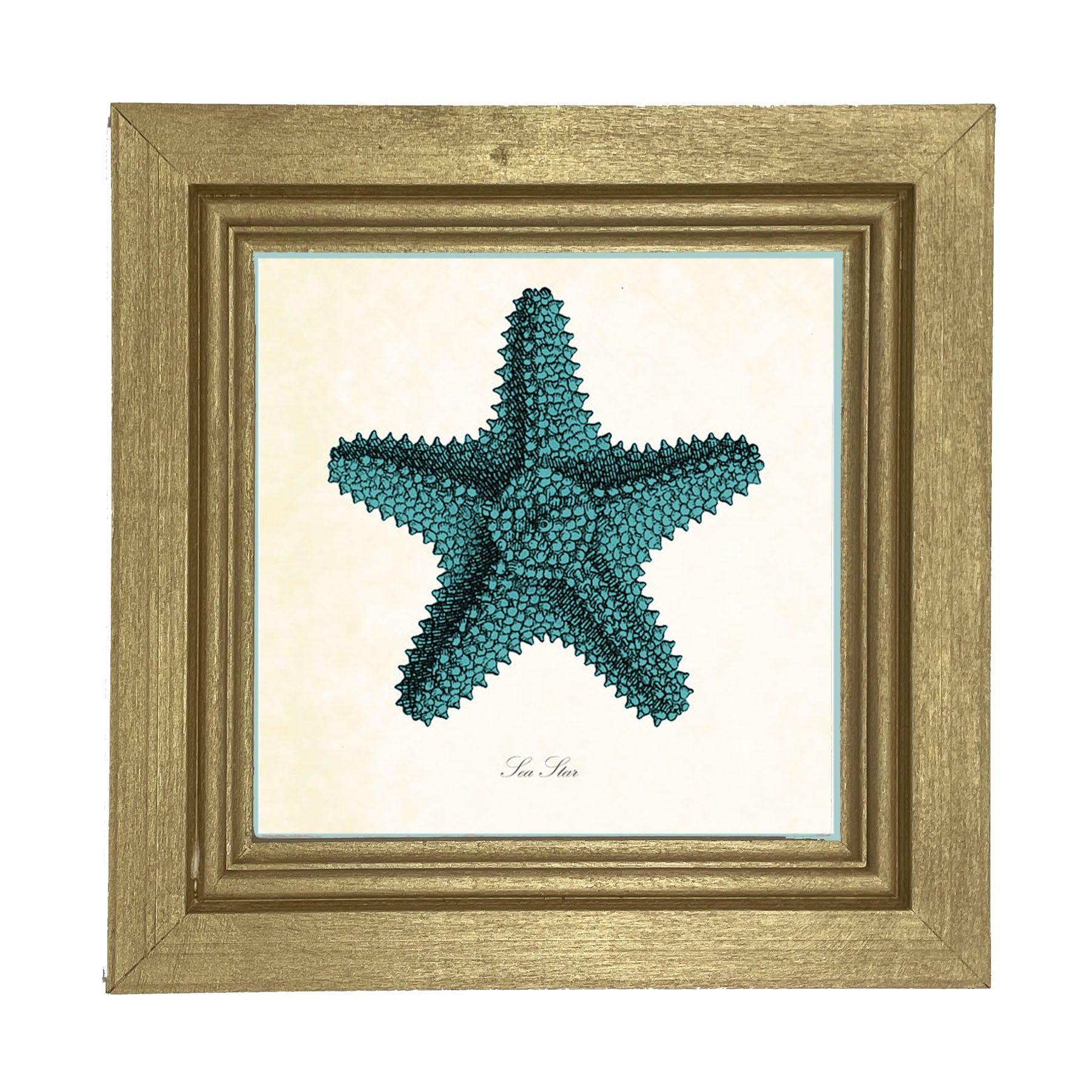 Blue Starfish - Framed art