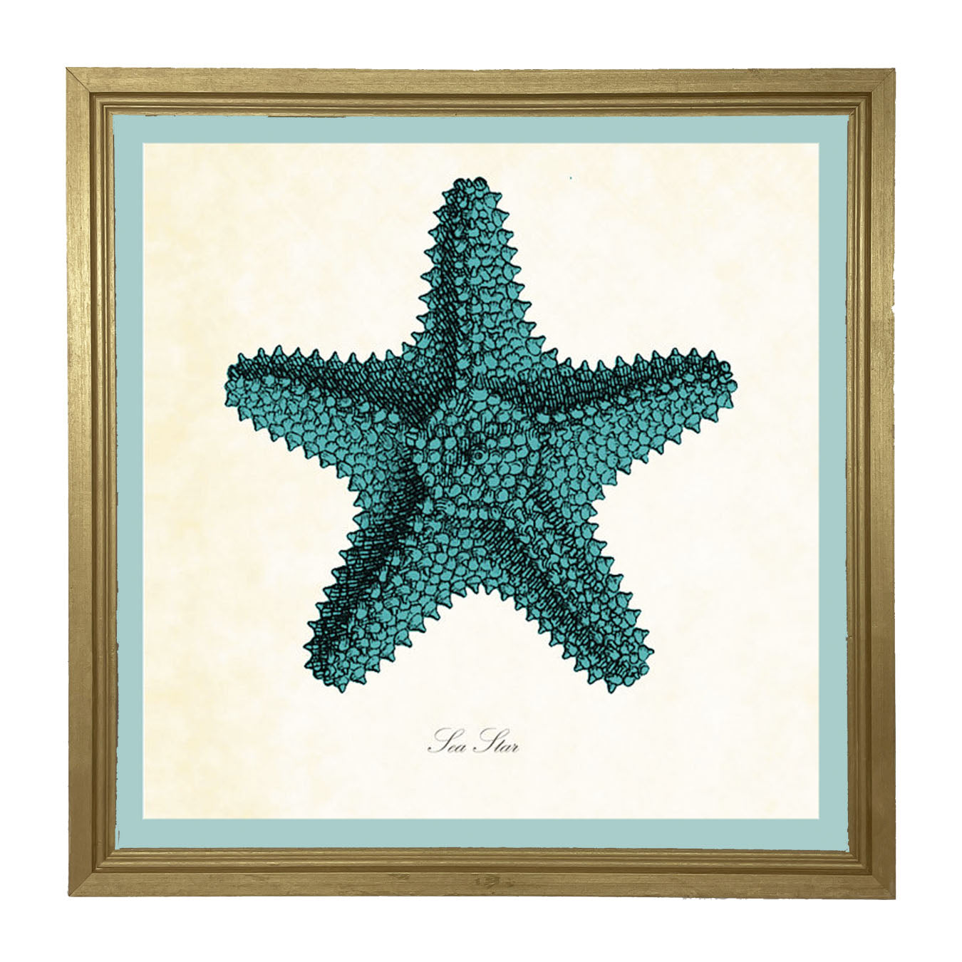 Blue Starfish - Framed art