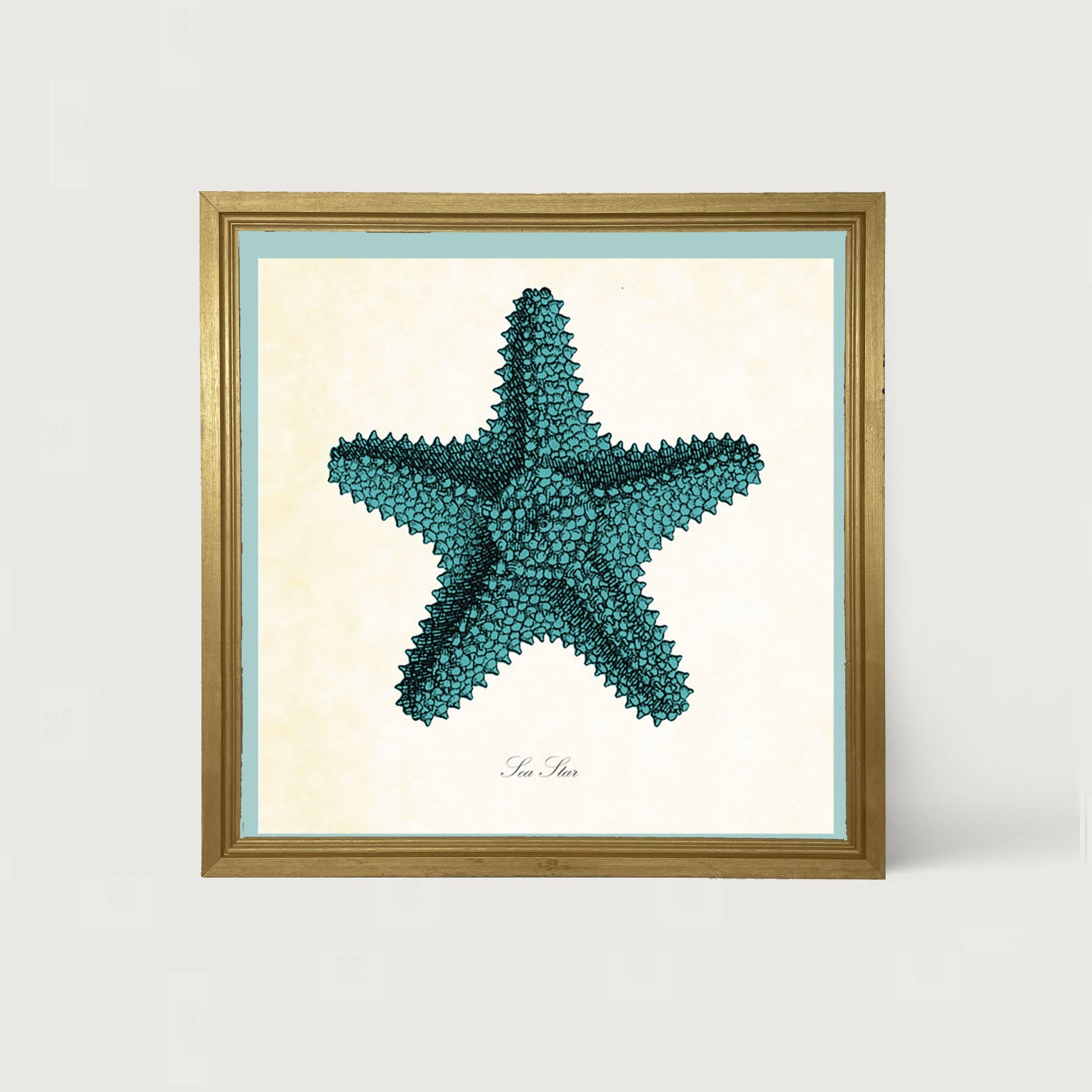 Blue Starfish - Framed art