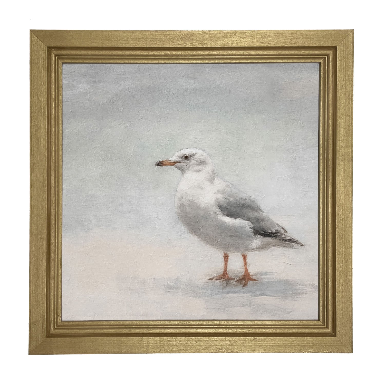 Seagull - Framed art