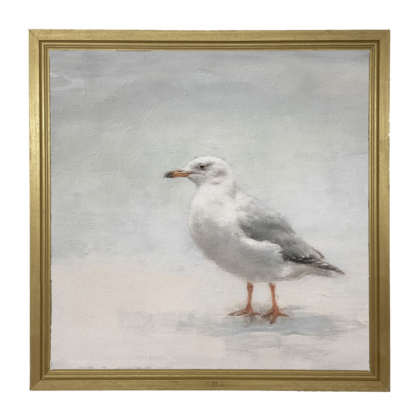 Seagull - Framed art