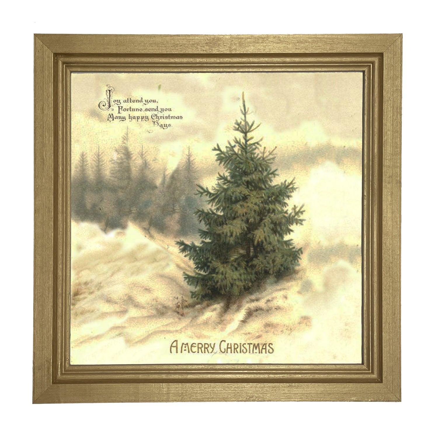 Winter Tree (Joy Attend You) - Framed art