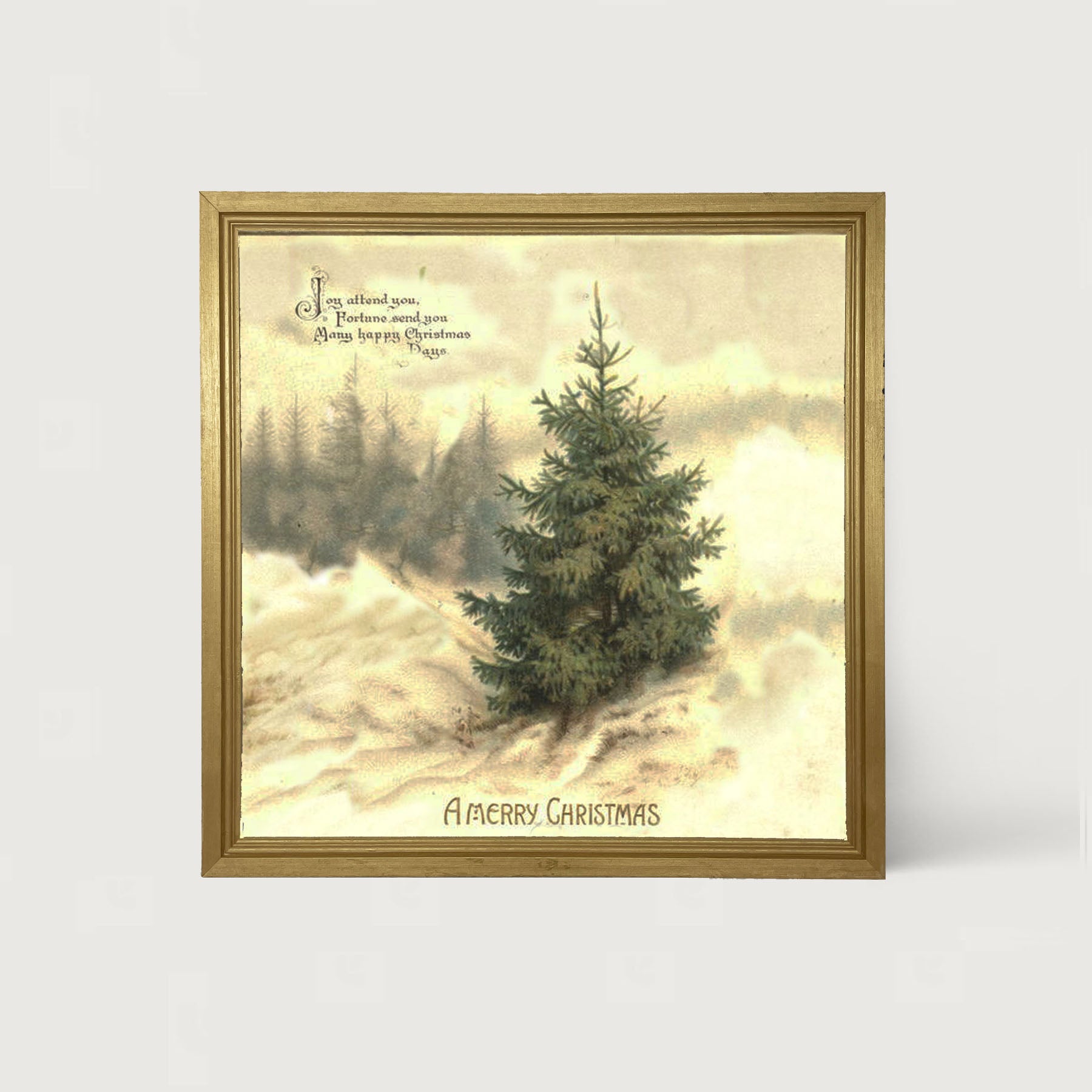 Winter Tree (Joy Attend You) - Framed art