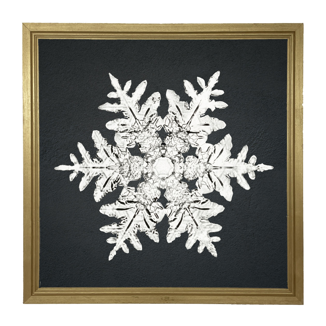 Snowflake-A - Framed art