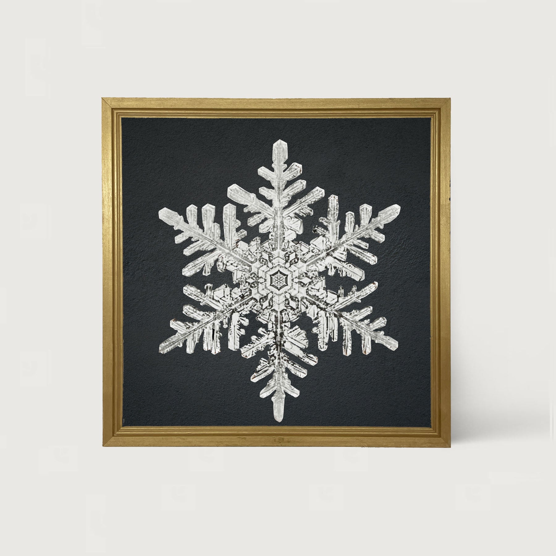 Snowflake-B - Framed art
