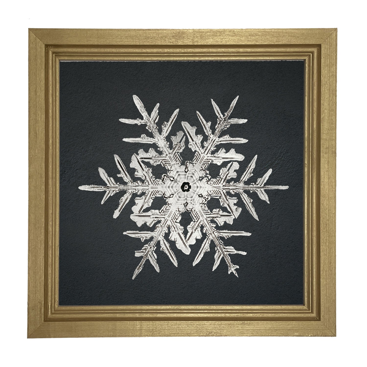 Snowflake-C - Framed art