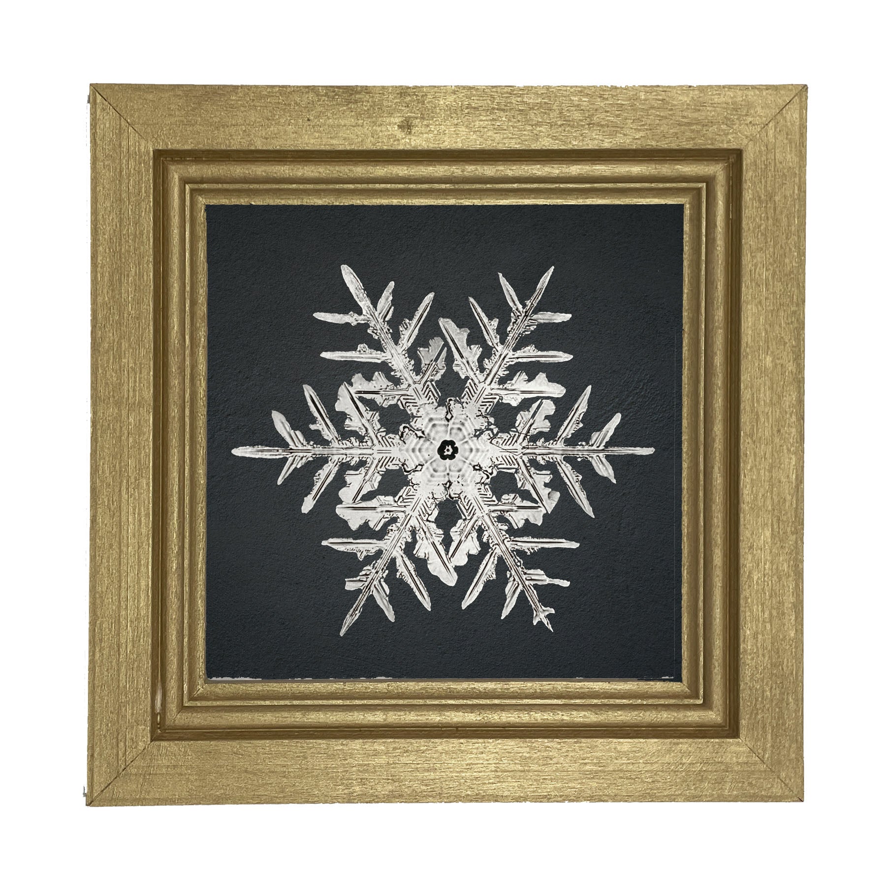 Snowflake-C - Framed art
