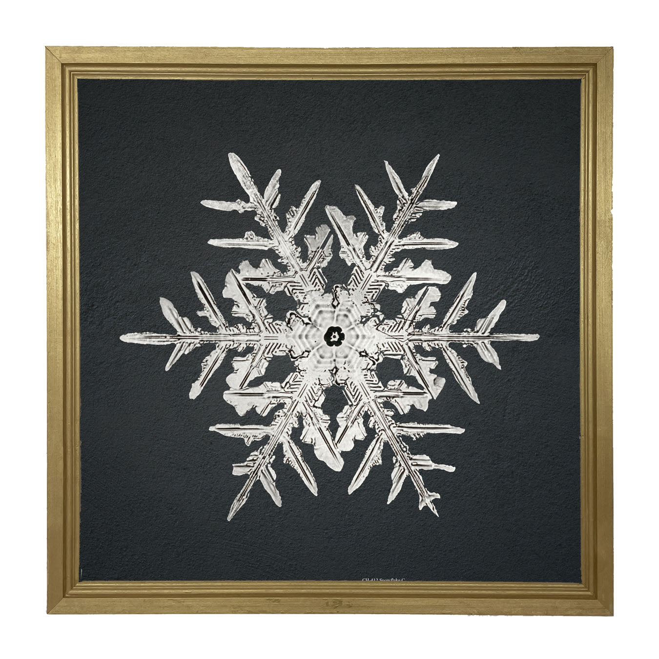 Snowflake-C - Framed art