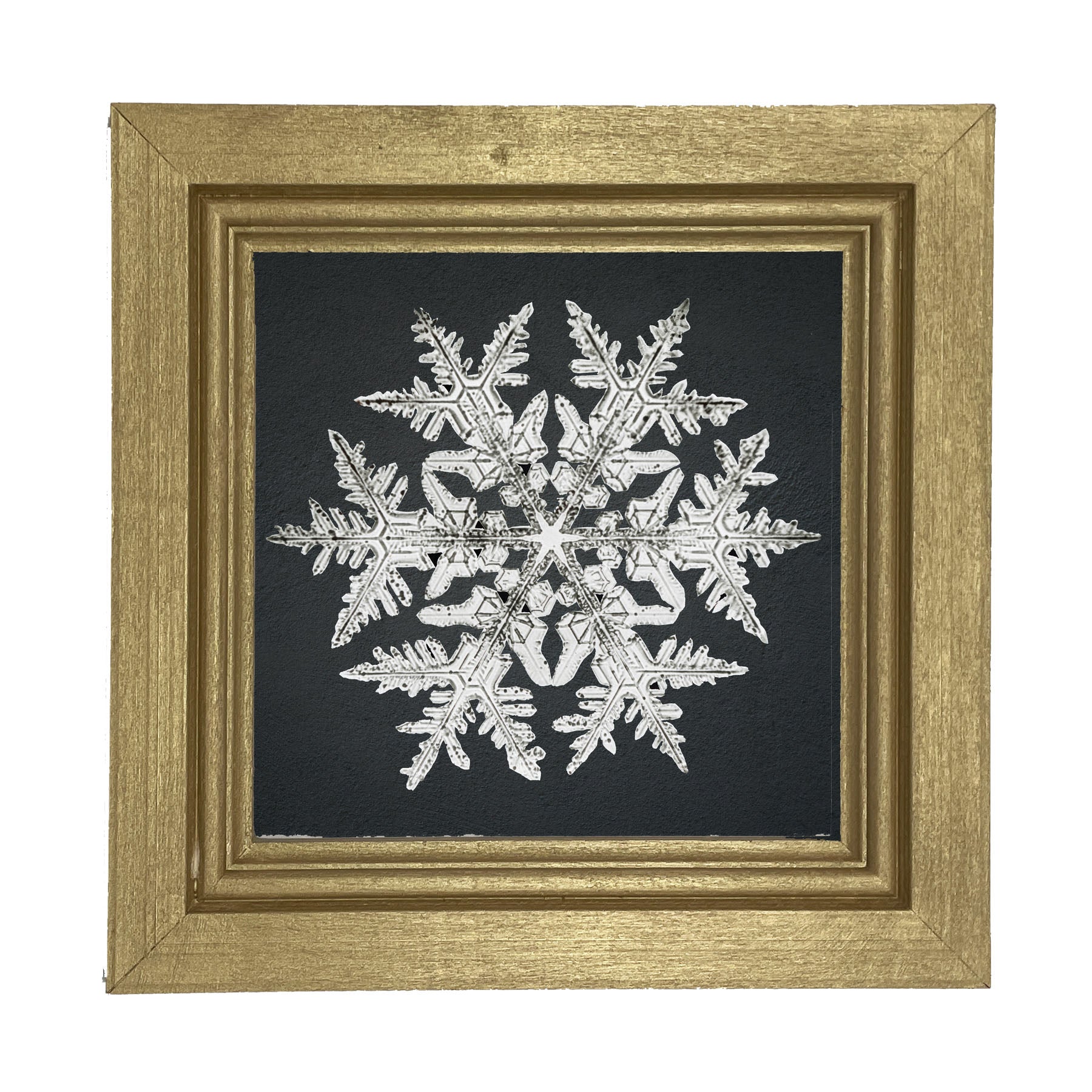 Snowflake-D - Framed art