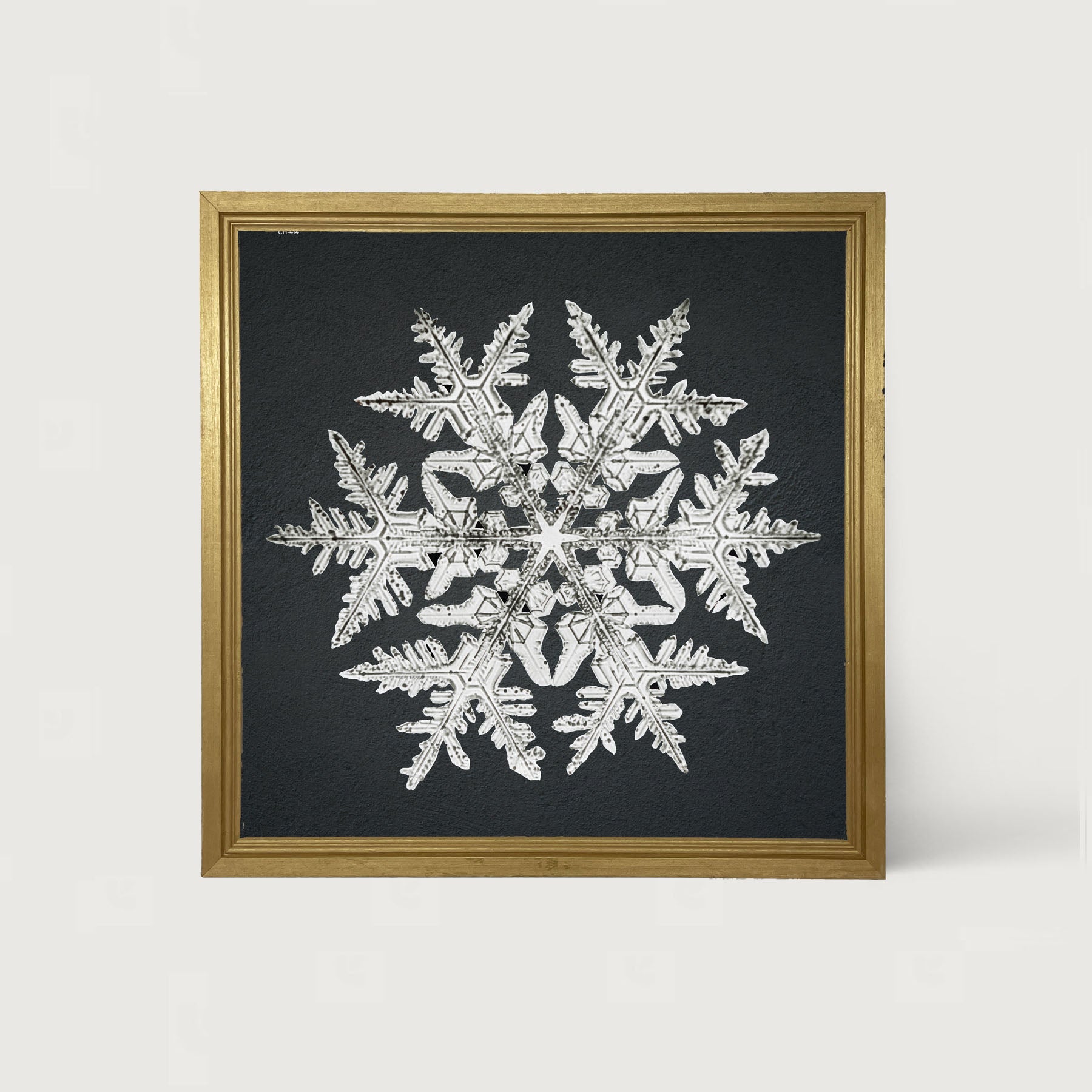 Snowflake-D - Framed art