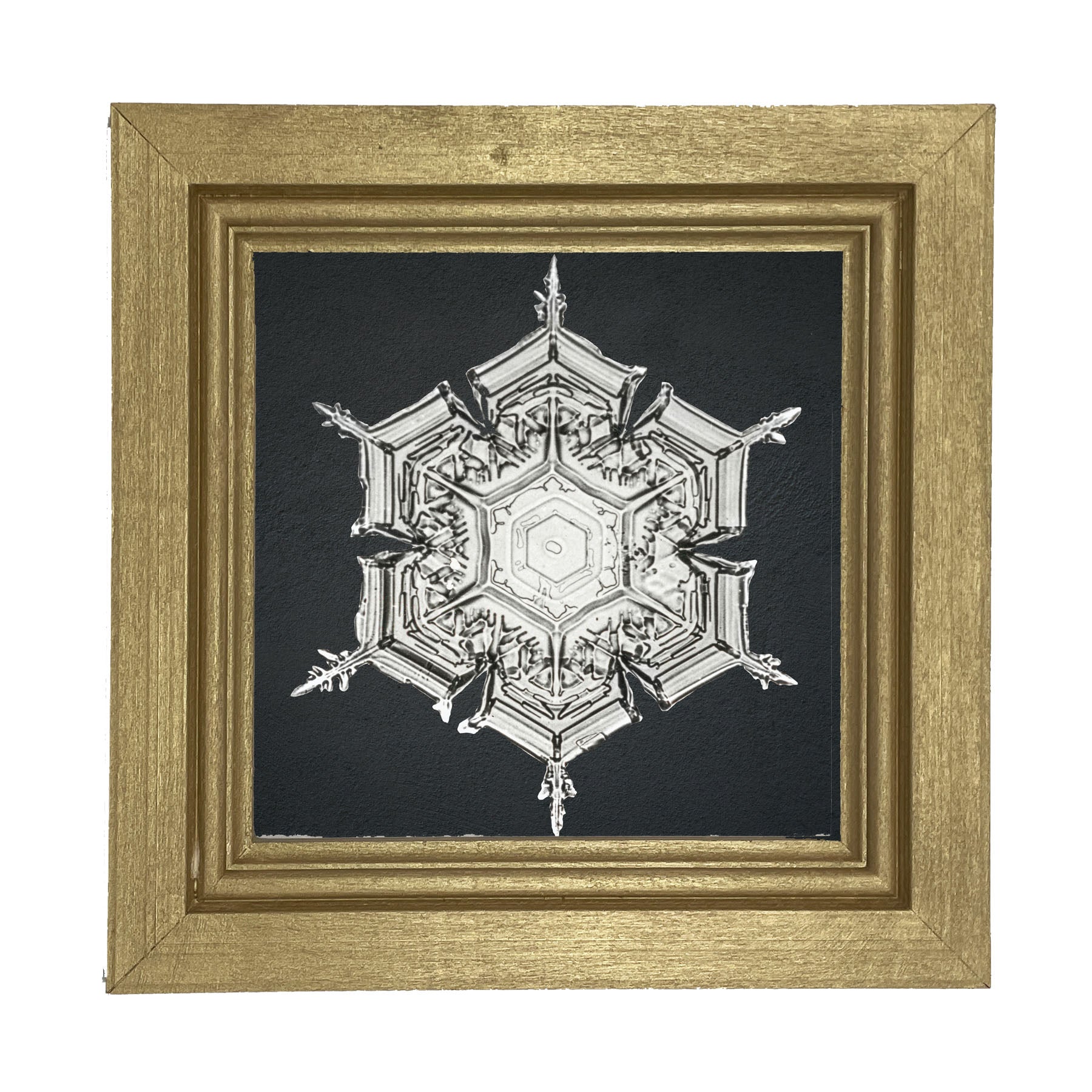 Snowflake-E - Framed art