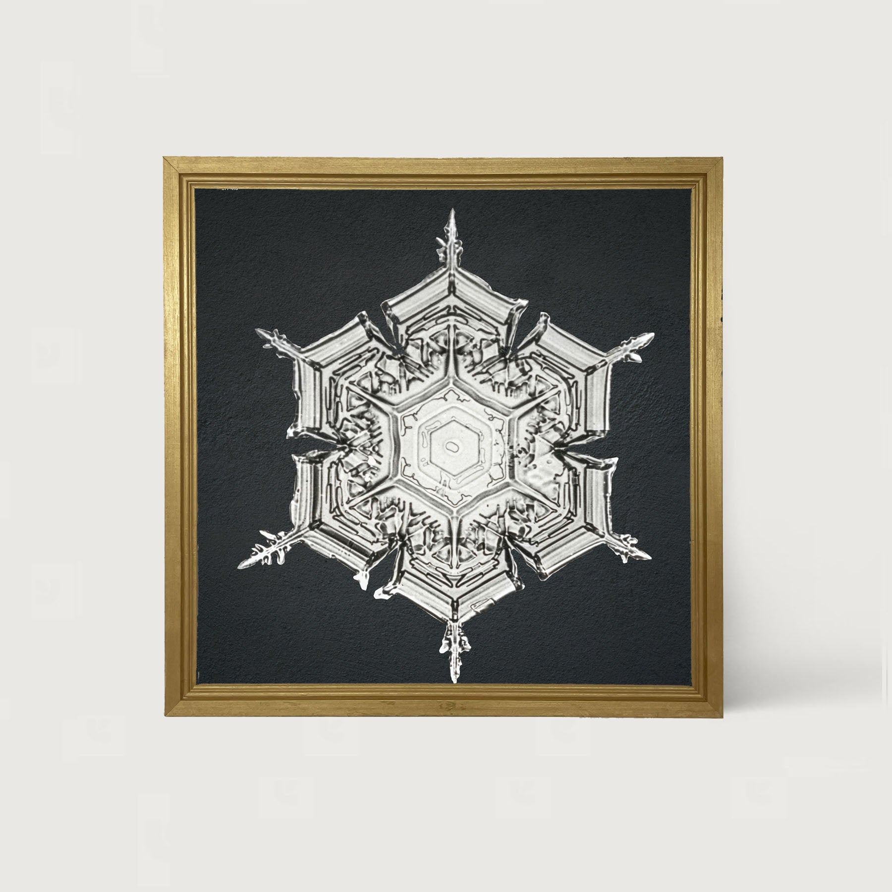 Snowflake-E - Framed art